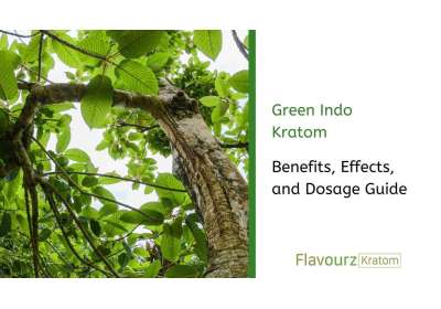 Green Indo Kratom: Benefits, Effects, and Dosage Guide