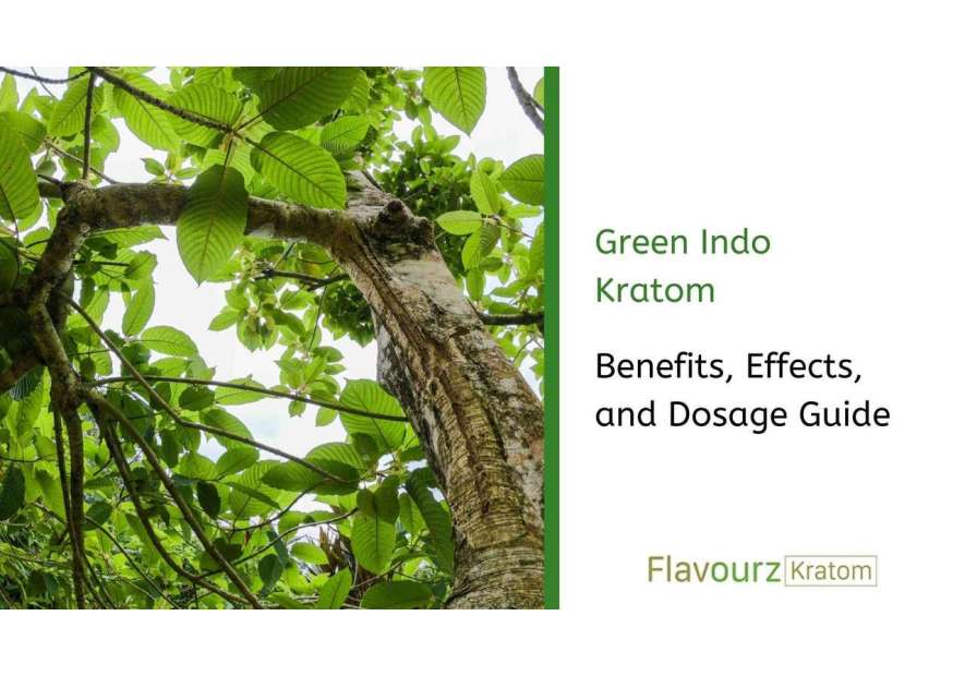 Green Indo Kratom: Benefits, Effects, and Dosage Guide