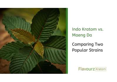 Indo Kratom vs. Maeng Da: Comparing Two Popular Strains