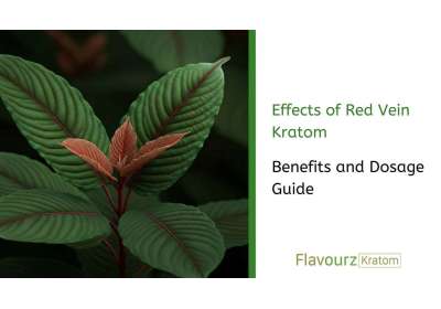 Effects of Red Vein Kratom: Benefits and Dosage Guide