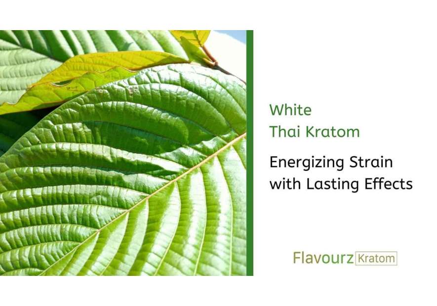 White Thai Kratom: Energizing Strain with Lasting Effects