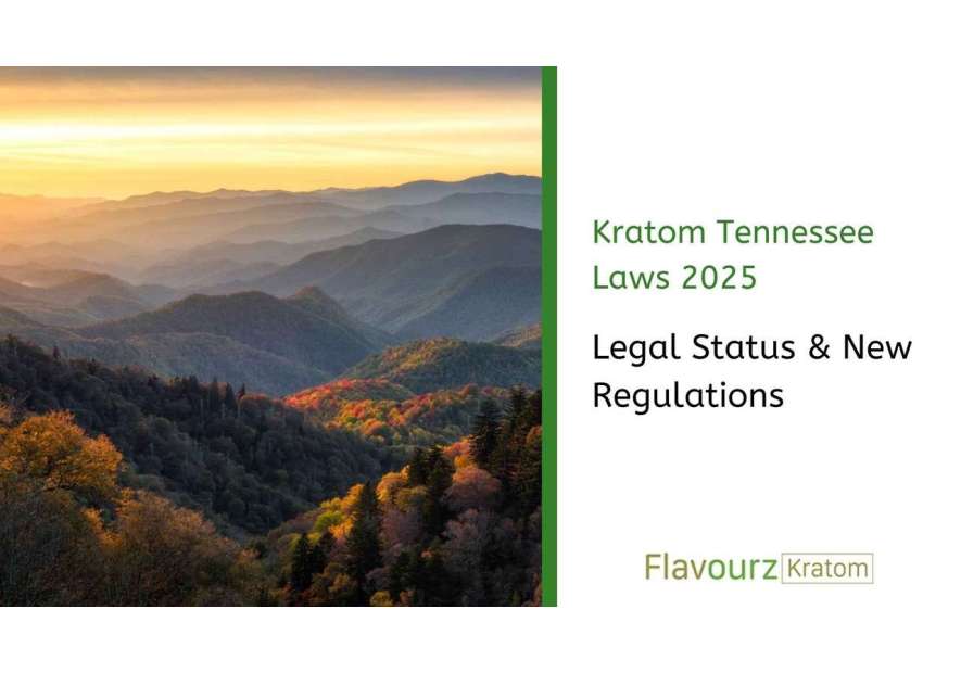 Kratom Tennessee Laws 2025: Legal Status & New Regulations