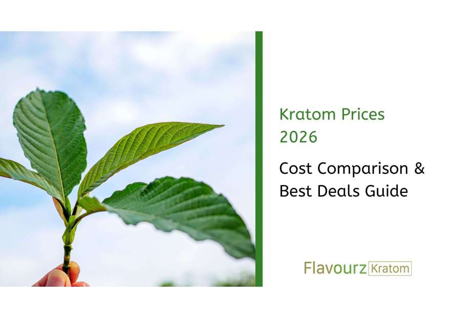 Kratom Prices 2026: Your Ultimate Cost Comparison & Best Deals Guide