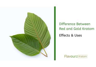 Difference Between Red and Gold Kratom: Effects & Uses