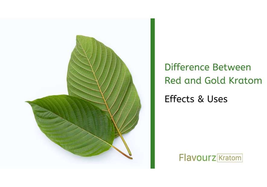 Difference Between Red and Gold Kratom: Effects & Uses