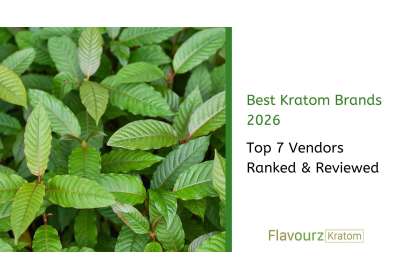 Best Kratom Brands 2026: Top 7 Vendors Ranked & Reviewed