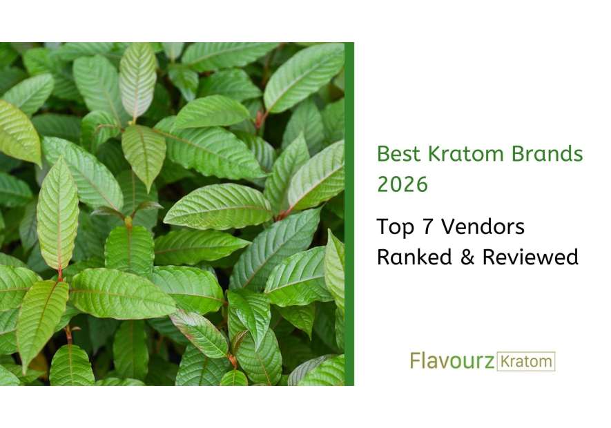 Best Kratom Brands 2026: Top 7 Vendors Ranked & Reviewed