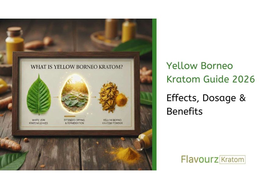 Yellow Borneo Kratom Guide 2026: Effects, Dosage & Benefits