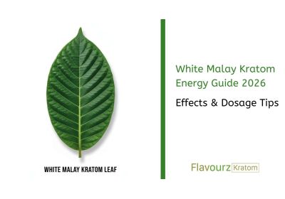 White Malay Kratom Energy Guide 2026: Effects & Dosage Tips