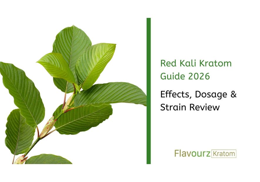 Red Kali Kratom Guide 2026: Effects, Dosage & Strain Review
