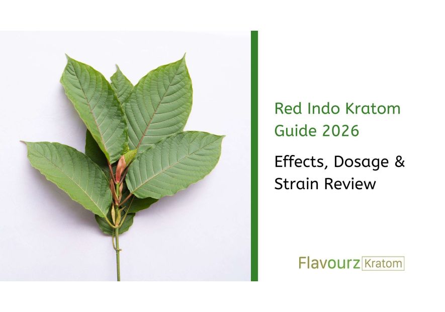 Red Indo Kratom Guide: Effects, Dosage & Strain Analysis