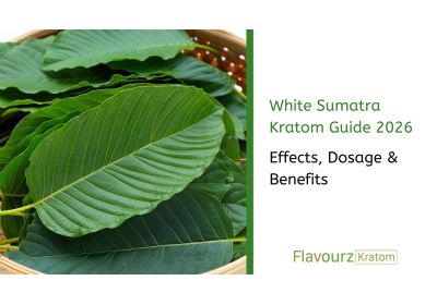 White Sumatra Kratom Guide 2026: Effects, Dosage & Benefits