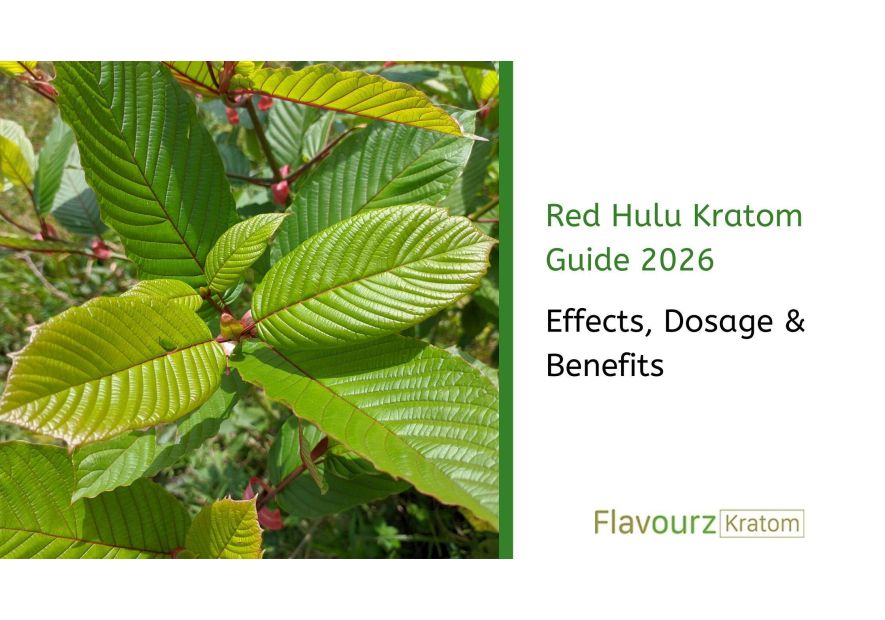Red Hulu Kratom Guide 2026: Effects, Dosage & Benefits