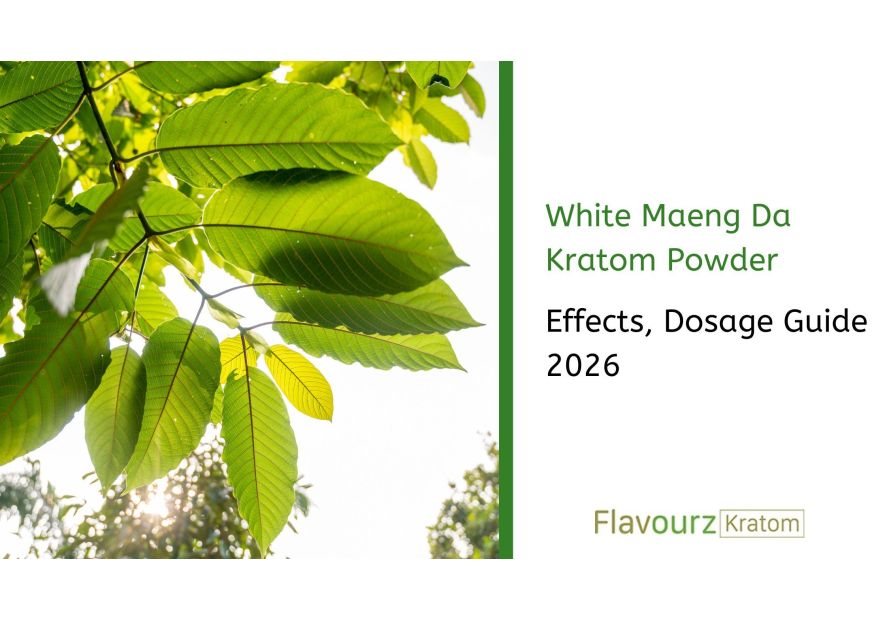White Maeng Da Kratom Powder: Effects, Dosage Guide 2026