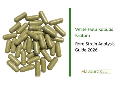 White Hulu Kapuas Kratom: Rare Strain Analysis Guide 2026