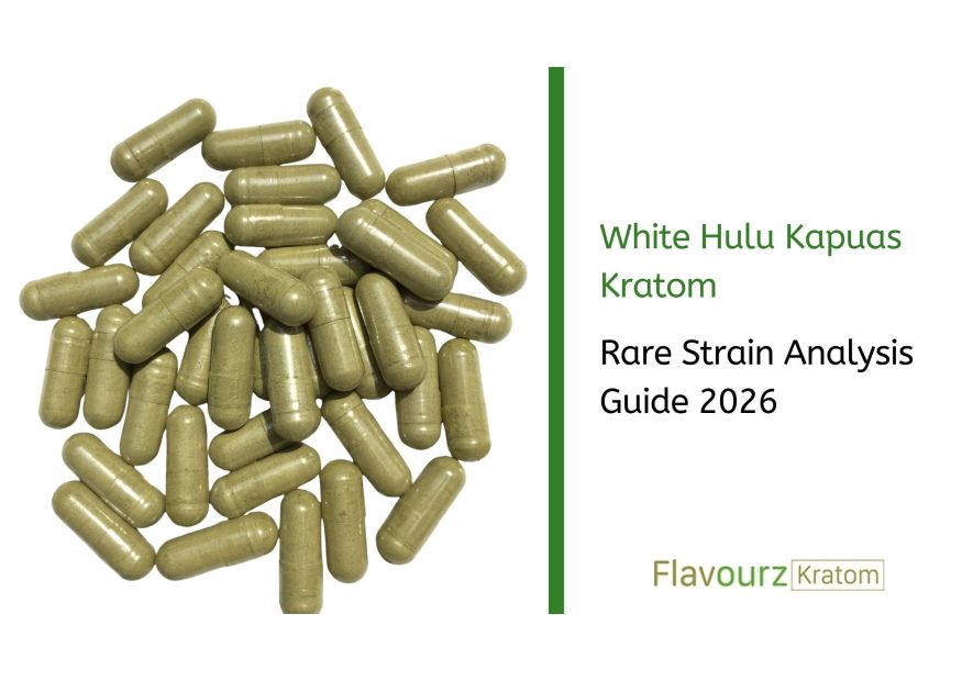 White Hulu Kapuas Kratom: Rare Strain Analysis Guide 2026