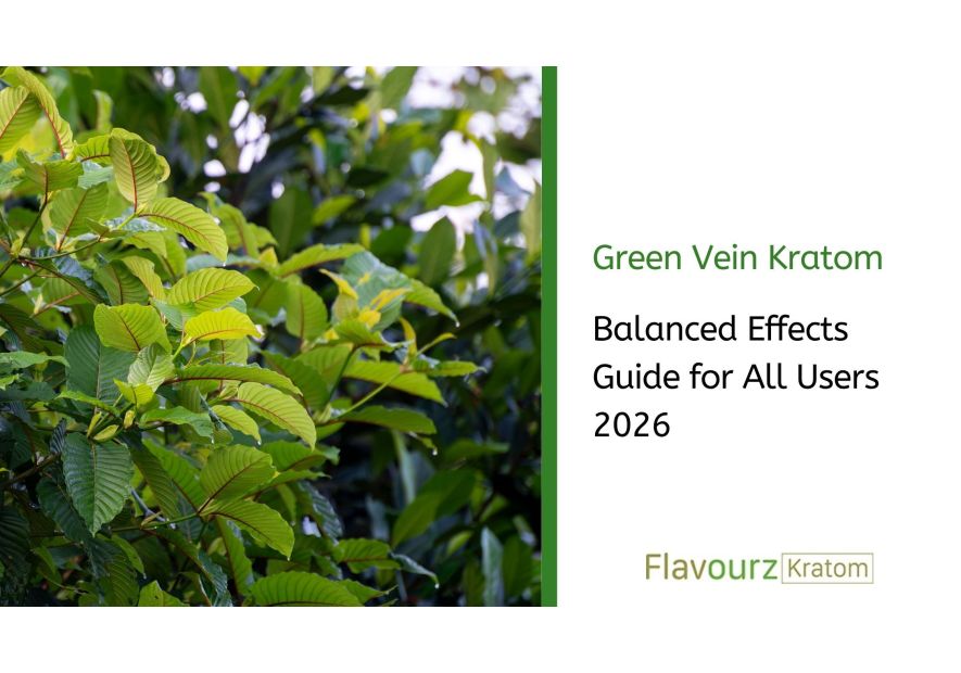 Green Vein Kratom: Balanced Effects Guide for All Users 2026