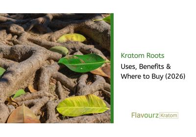 Kratom Roots: Uses, Benefits & Where to Buy (2026)