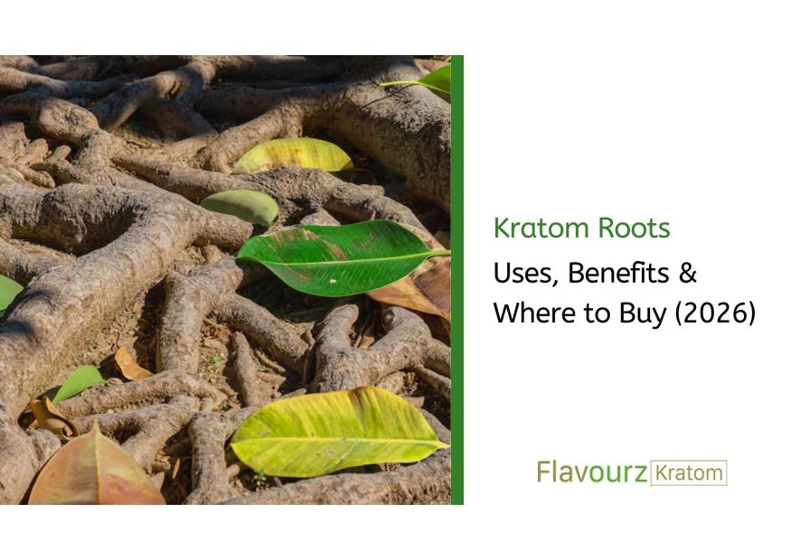 Kratom Roots: Uses, Benefits & Where to Buy (2026)