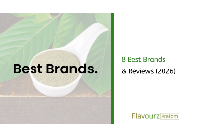 8 Best Brands & Reviews (2026)
