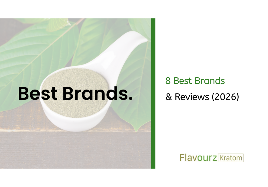 8 Best Brands & Reviews (2026)