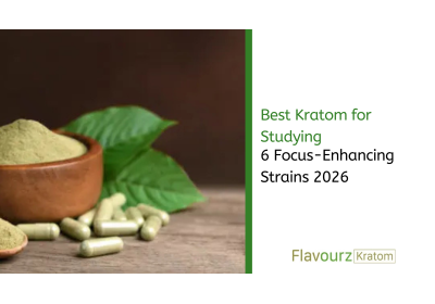 Best Kratom for Studying: 6 Focus-Enhancing Strains 2026