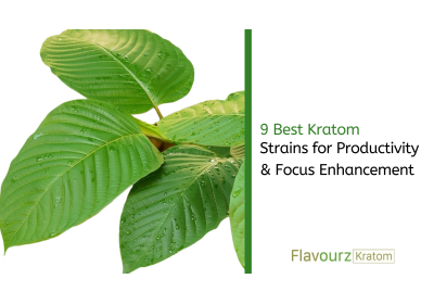 9 Best Kratom Strains for Productivity & Focus Enhancement