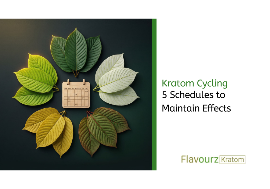 Kratom Cycling: 5 Schedules to Maintain Effects