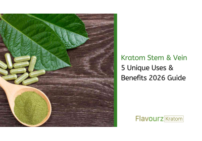 Kratom Stem & Vein: 5 Unique Uses & Benefits 2026 Guide