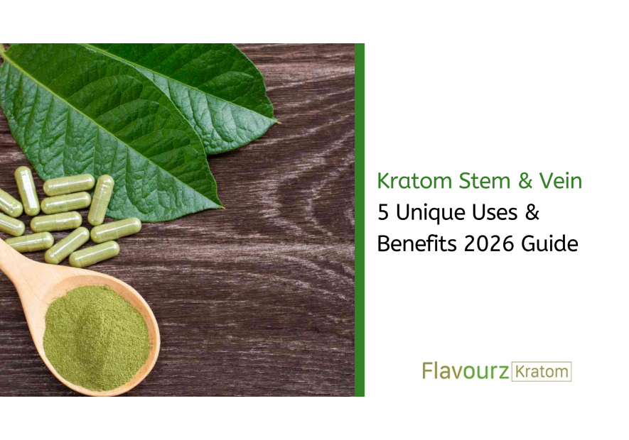 Kratom Stem & Vein: 5 Unique Uses & Benefits 2026 Guide