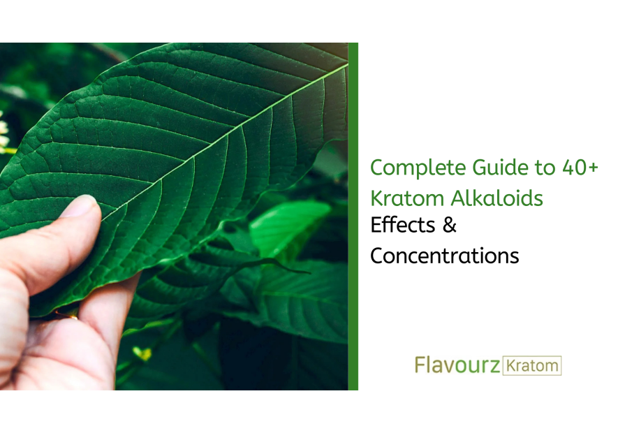 Complete Guide to 40+ Kratom Alkaloids: Effects & Concentrations