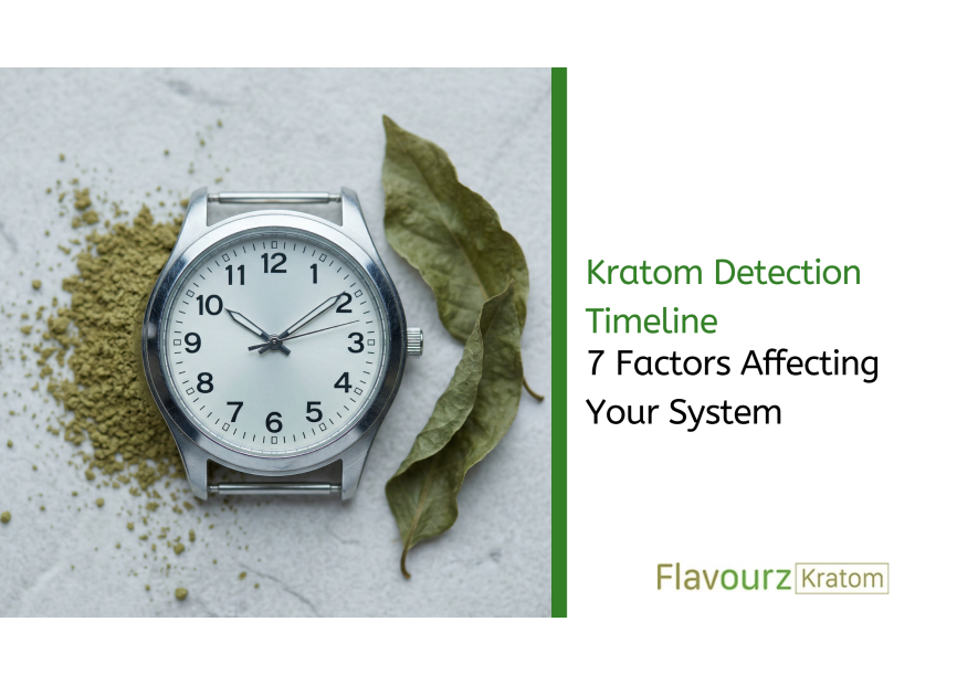 Kratom Detection Timeline: 7 Factors Affecting Your System