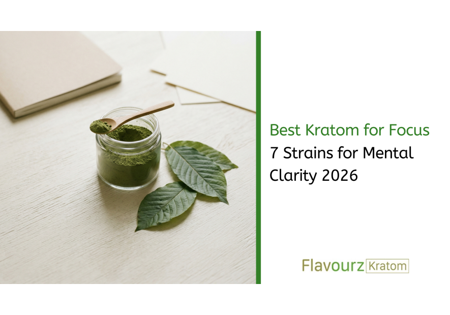 Best Kratom for Focus: 7 Strains for Mental Clarity 2026