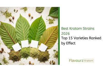 Best Kratom Strains 2026: Top 15 Varieties Ranked by Effect