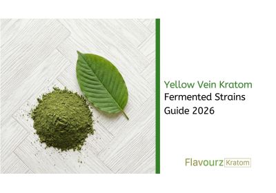 Yellow Vein Kratom: Fermented Strains Guide 2026