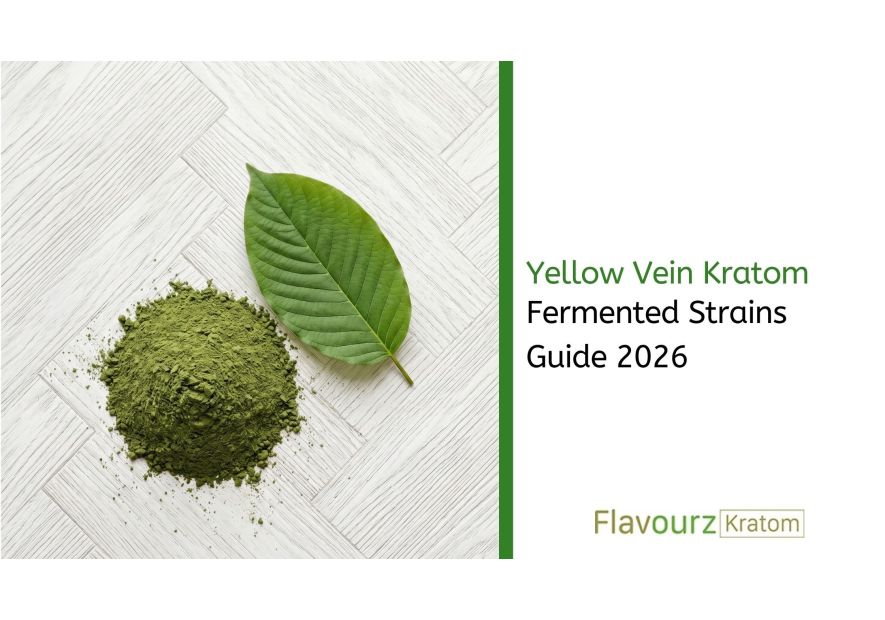 Yellow Vein Kratom: Fermented Strains Guide 2026