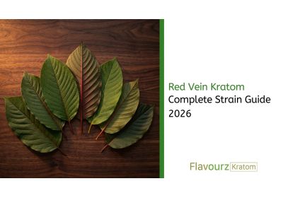 Red Vein Kratom: Complete Strain Guide 2026