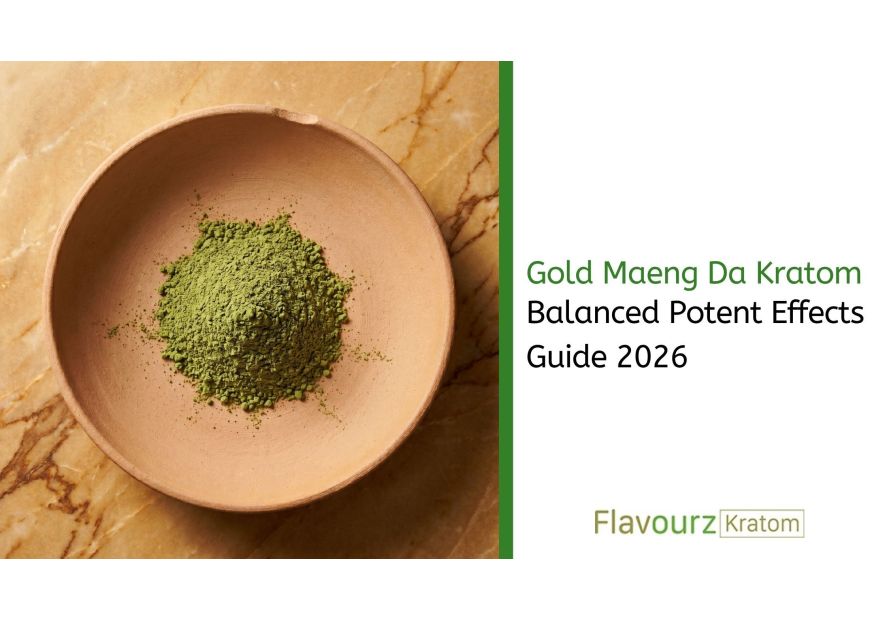 Gold Maeng Da Kratom: Balanced Potent Effects Guide 2026