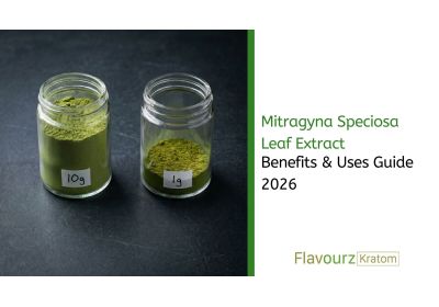 Mitragyna Speciosa Leaf Extract: Benefits & Uses Guide 2026