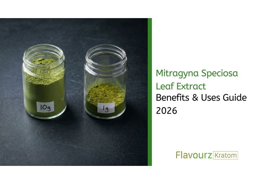 Mitragyna Speciosa Leaf Extract: Benefits & Uses Guide 2026