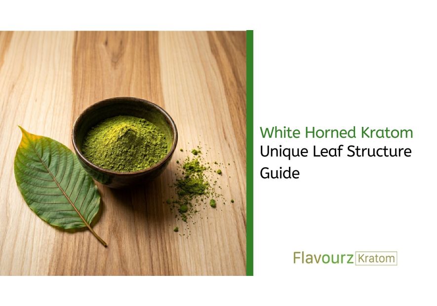 White Horned Kratom: Unique Leaf Structure Guide