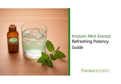 Kratom Mint Extract: Refreshing Potency Guide