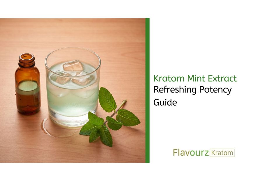 Kratom Mint Extract: Refreshing Potency Guide