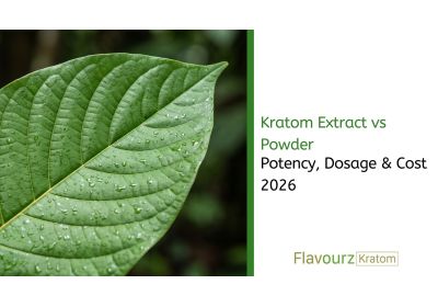 Kratom Extract vs Powder: Potency, Dosage & Cost 2026