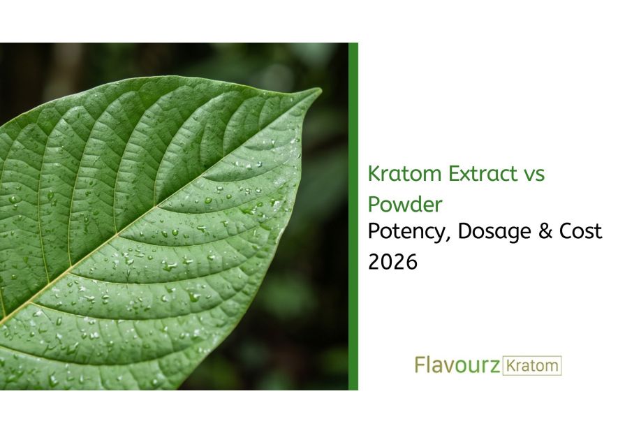 Kratom Extract vs Powder: Potency, Dosage & Cost 2026