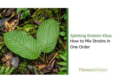 Splitting Kratom Kilos: How to Mix Strains in One Order