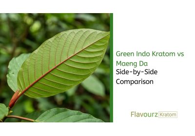 Green Indo Kratom vs Maeng Da: Side-by-Side Comparison