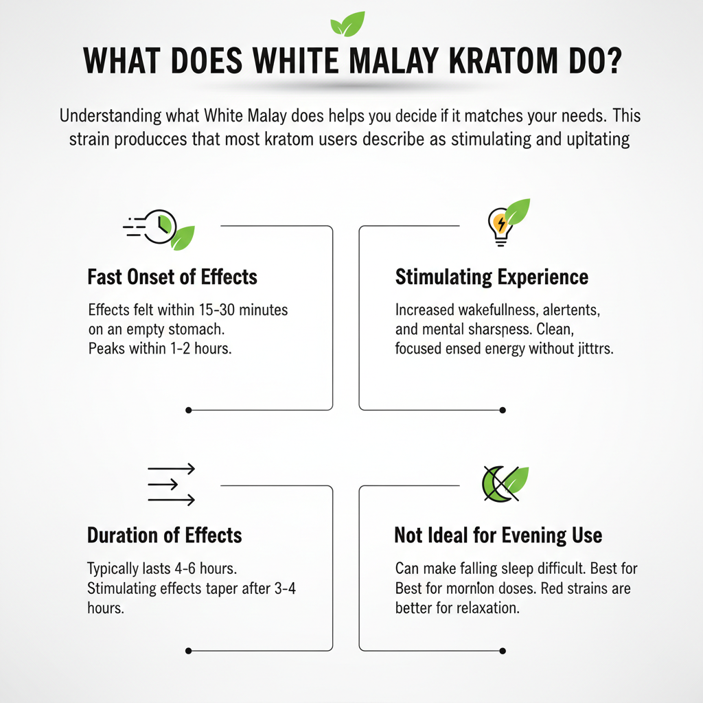 experiencing the energizing effects of White Malay Kratom for morning productivity and mental focus