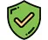 Secure Icon