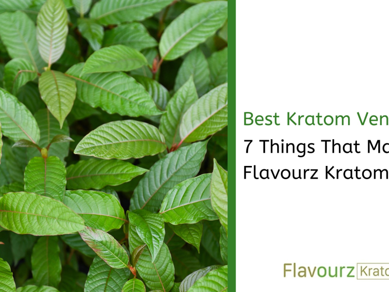 Best Kratom Vendor: 7 Things That Make Flavourz Kratom Best